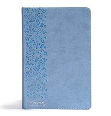 Blue Leather Touch (in)courage Devotional Bible